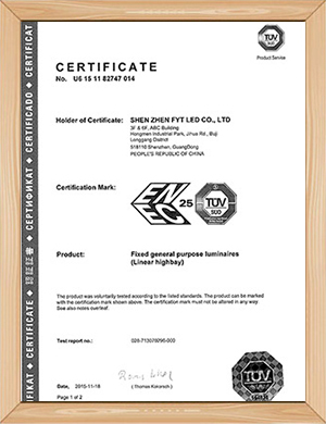 ENEC for Tomline&Cleanline high bay