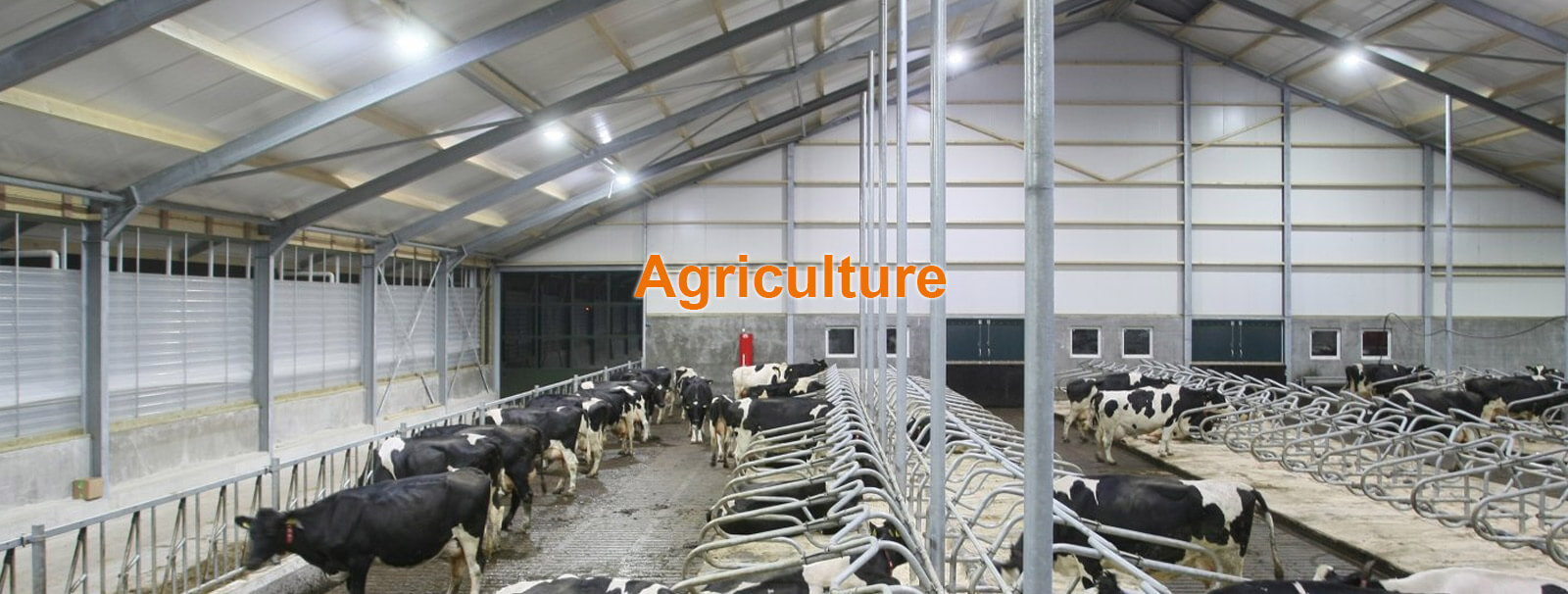 Agriculture - Luminaires